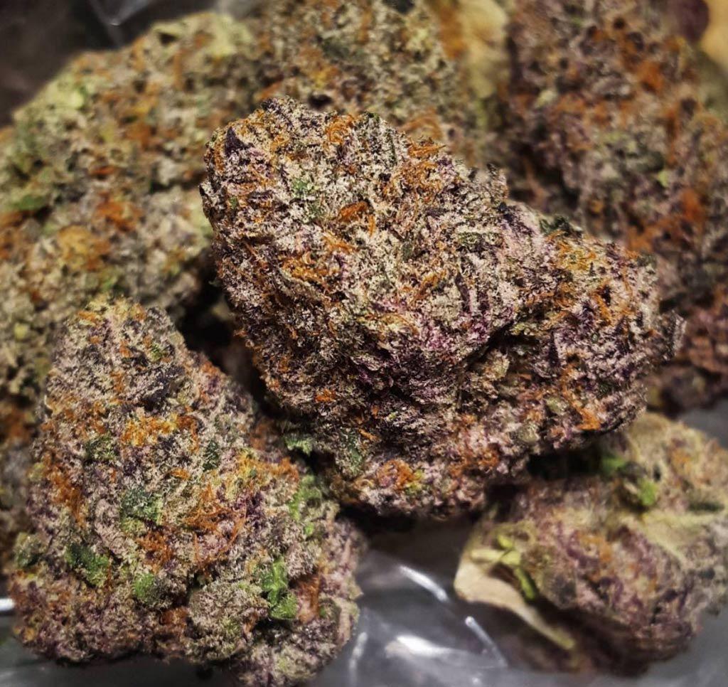 gelato autoflower cannabis pics