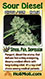 sour diesel marijuana card