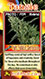 tangie marijuana card